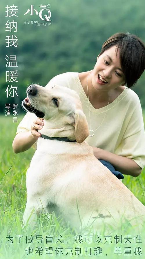 情報科学芸術研究科大学学士学位证
